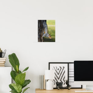 Cute Eastern Grey Squirrel Nature Photo Poster