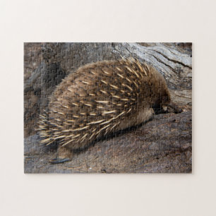 Cute Echidna Australia, Childrens 252 pieces Jigsaw Puzzle