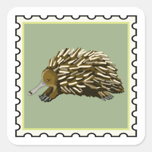 Cute Echidna Australian stamp art Square Sticker