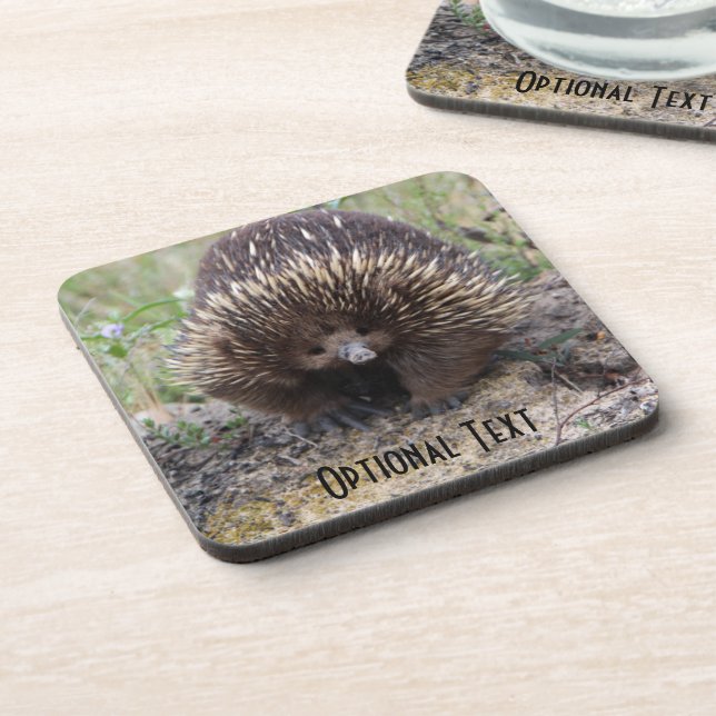 Cute Echidna from Australia Coaster (Left Side)