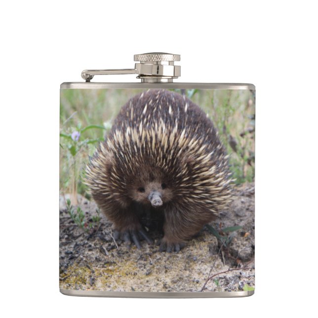 Cute Echidna from Australia Hip Flask (Front)