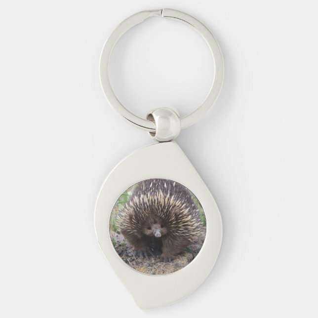 Cute Echidna from Australia Key Ring (Front)