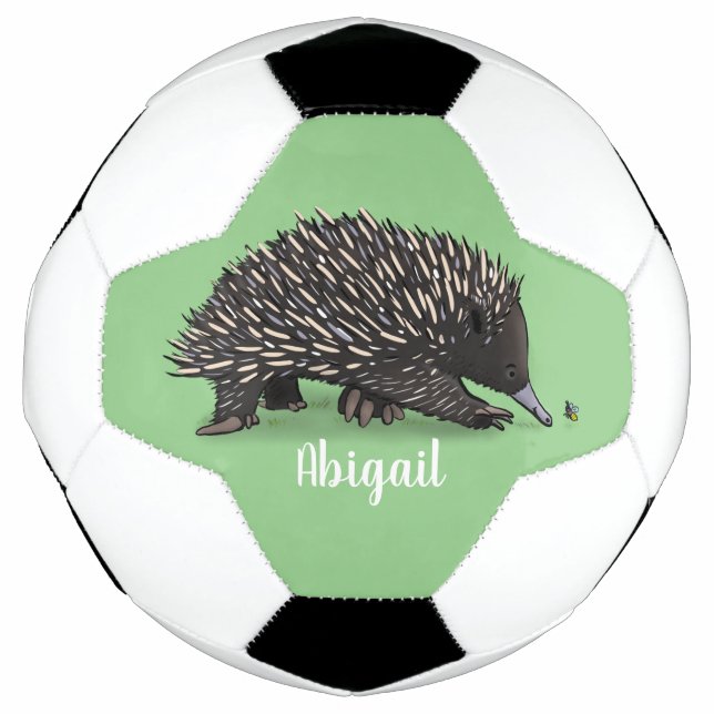 Cute echidna with bee cartoon illustration football (Front)