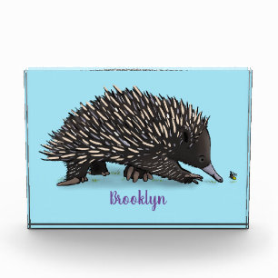 Cute echidna with bee cartoon illustration photo block