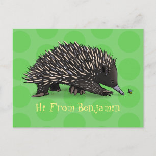 Cute echidna with bee cartoon illustration postcard