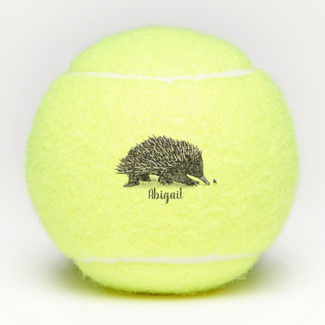 Cute echidna with bee cartoon illustration tennis balls (Front)