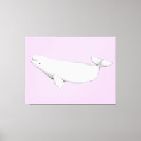 Cute Elegant Beluga Whale Book Illustration 