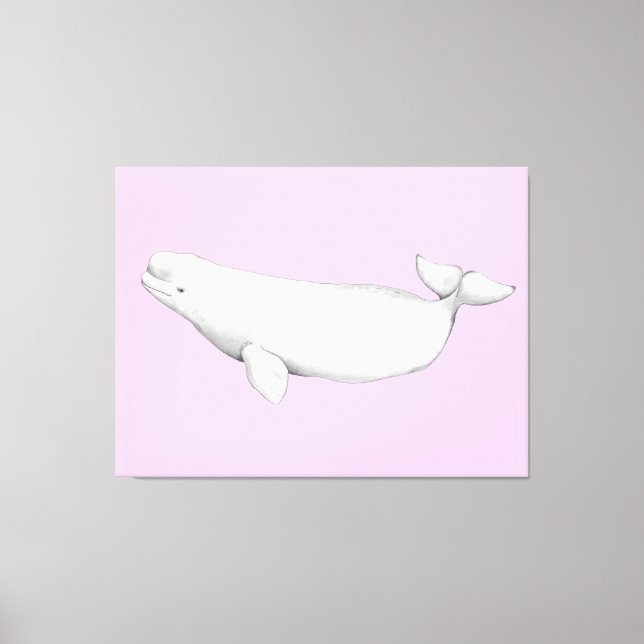 Cute Elegant Beluga Whale Book Illustration  Canvas Print (Front)