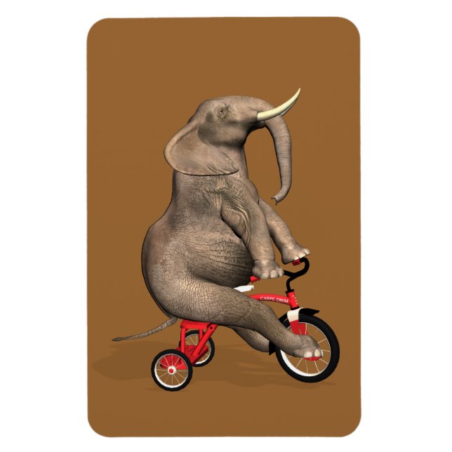 Cute Elephant Riding A Tricycle Magnet (Vertical)