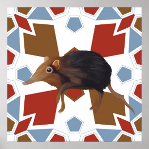 Cute Elephant Shrew Fun Colourful Pattern Poster