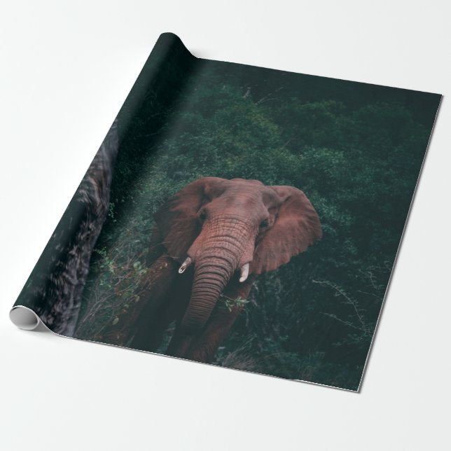 CUTE ELEPHANT WRAPPING PAPER (Unrolled)