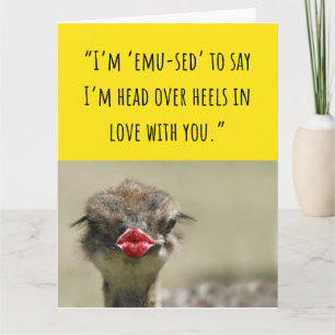 Cute Emu Bird Funny Valentine Cards