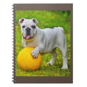 Cute English Bulldog Basketball Bulldog Lover Gift Notebook
