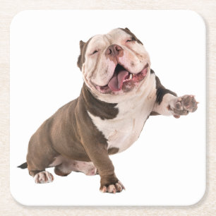 Cute English Bulldog Gifts Puppy Dog Lover Square Paper Coaster