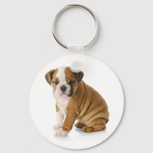 Cute English Bulldog Puppy Dog Keychain