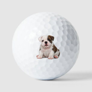 Cute English Bulldog Puppy Golf Balls