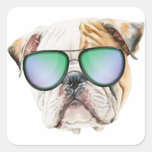 Cute english bulldog with sunglasses, Funny puppy  Square Sticker