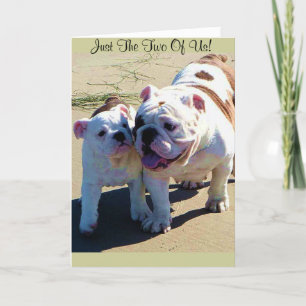 Cute English Bulldogs Just The Two Of Us! Card
