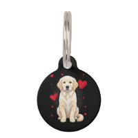 Cute English Cream Golden Retriever Dog