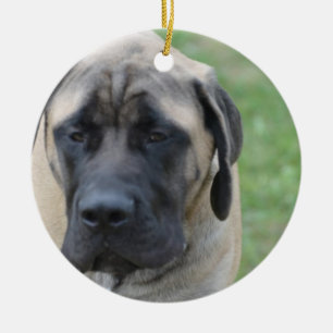 Cute English Mastiff Ceramic Tree Decoration