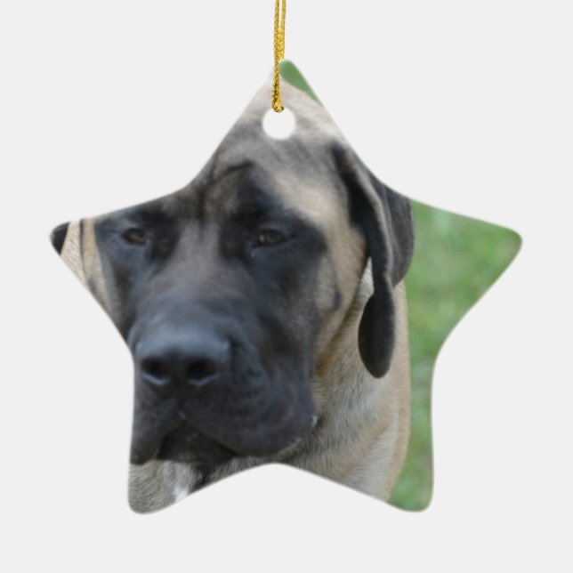 Cute English Mastiff Ceramic Tree Decoration (Front)