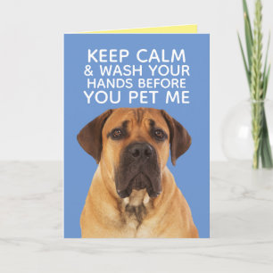 Cute English Mastiff Staying Calm Wash Hands Card