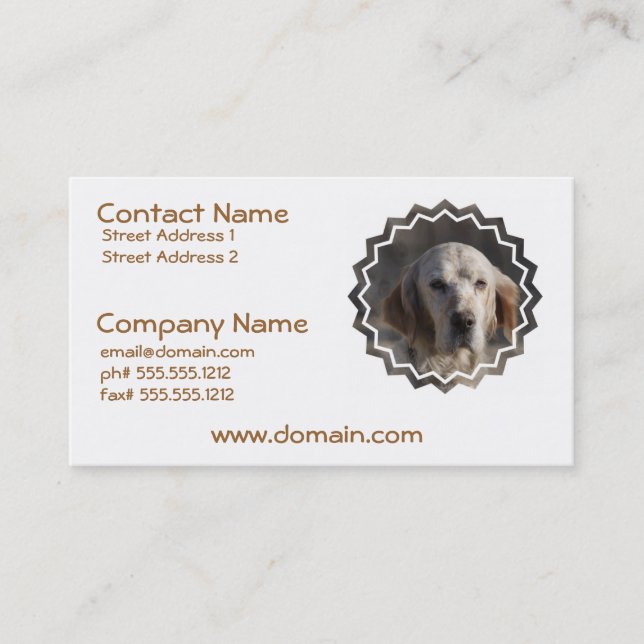 Cute English Setter Business Card (Front)