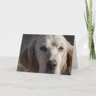 Cute English Setter Greeting Card