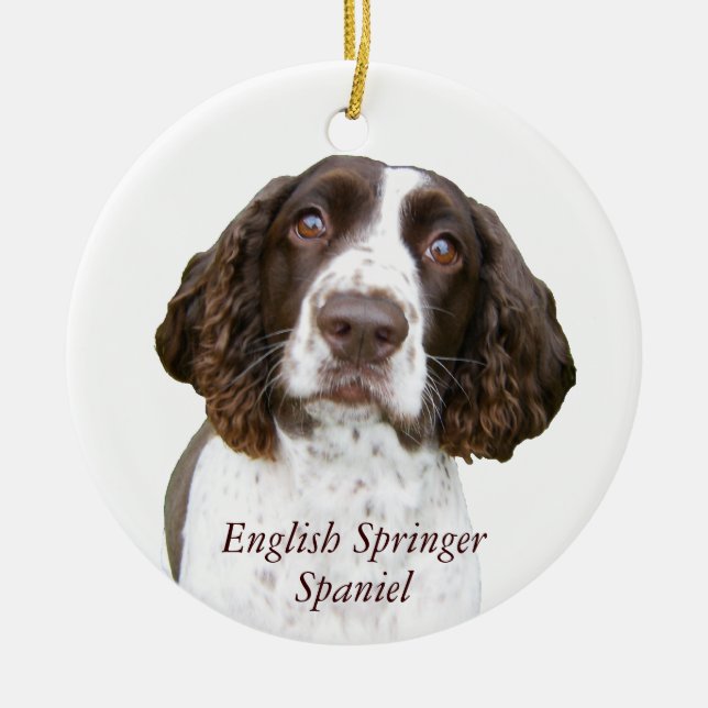 Cute English Springer Spaniel Christmas Ornament (Front)
