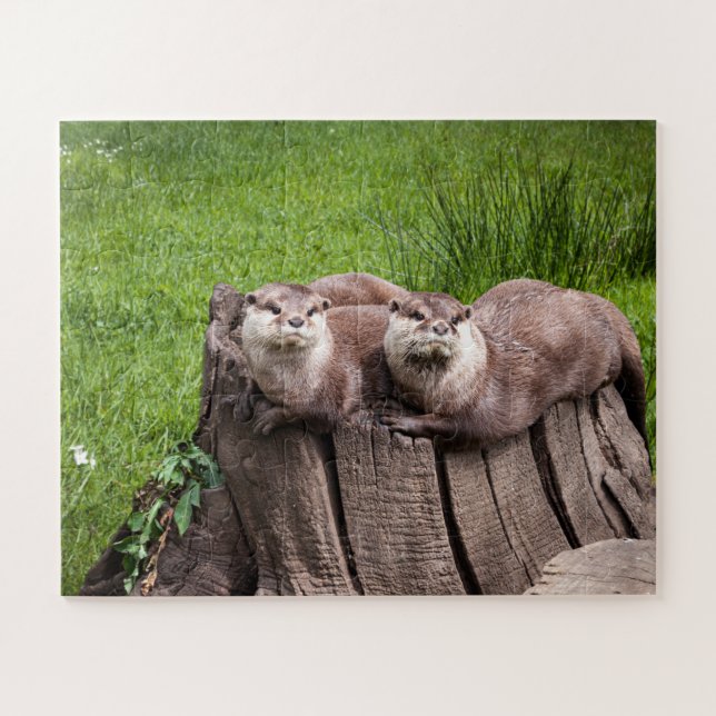 Cute Eurasian Otters animal photography Jigsaw Puzzle (Horizontal)
