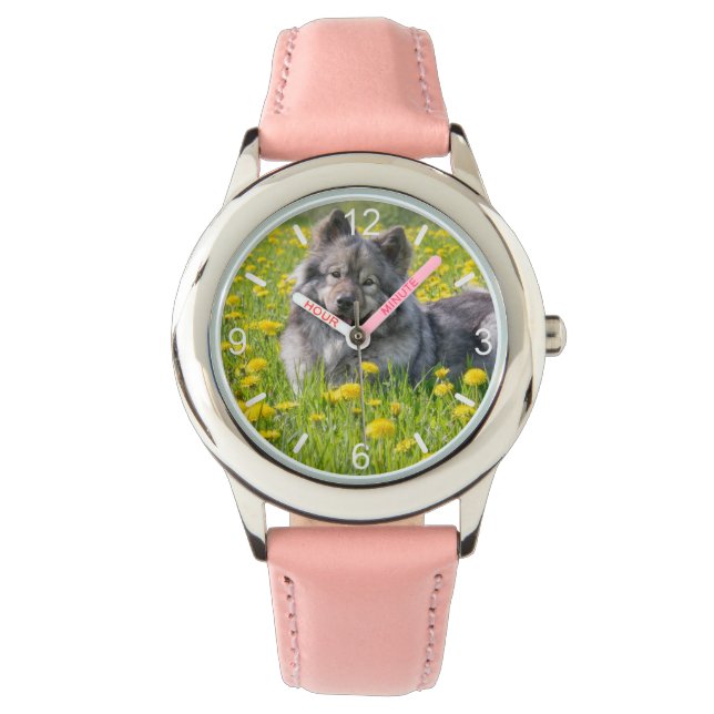 Cute Eurasier Dog in a Meadow Flowering Dandelions Watch (Front)