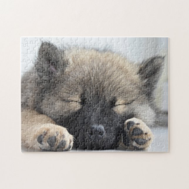 Cute Eurasier Puppy Jigsaw Puzzle (Horizontal)