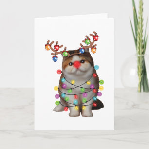 Cute Exotic Shorthair Cat Funny Xmas Holiday Gift Card