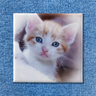 Cute Family Cat Square Photo 15 Cm Square Badge