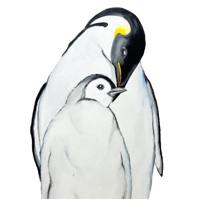 Cute family of emperor penguins T-Shirt (Creator Uploaded)