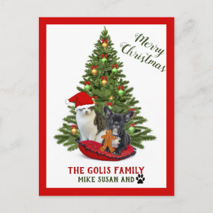 Cute Family Pets Dog  Cat Merry Christmas Postcard