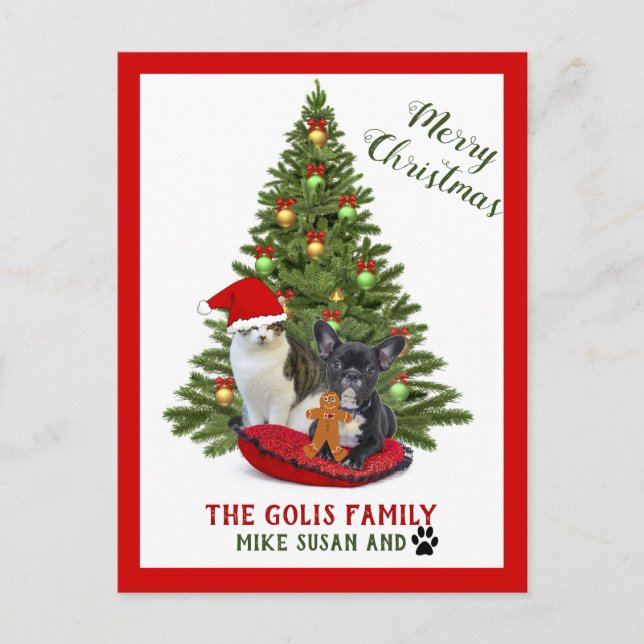 Cute Family Pets Dog  Cat Merry Christmas Postcard (Front)