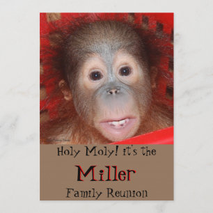 Cute Family Reunion Invitation