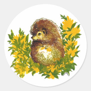 Cute Fancy Watercolor Hedgehog Designed Classic Round Sticker