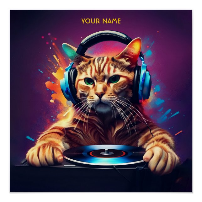 Cute Fantasy Cat DJ Vinyl Poster (Front)