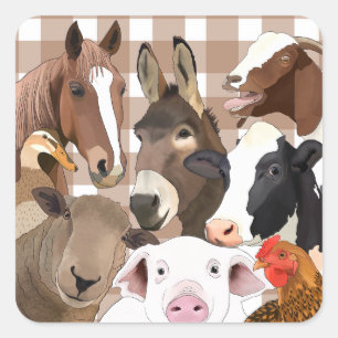 Cute Farm Animal Portrait Gingham Check - Brown Square Sticker