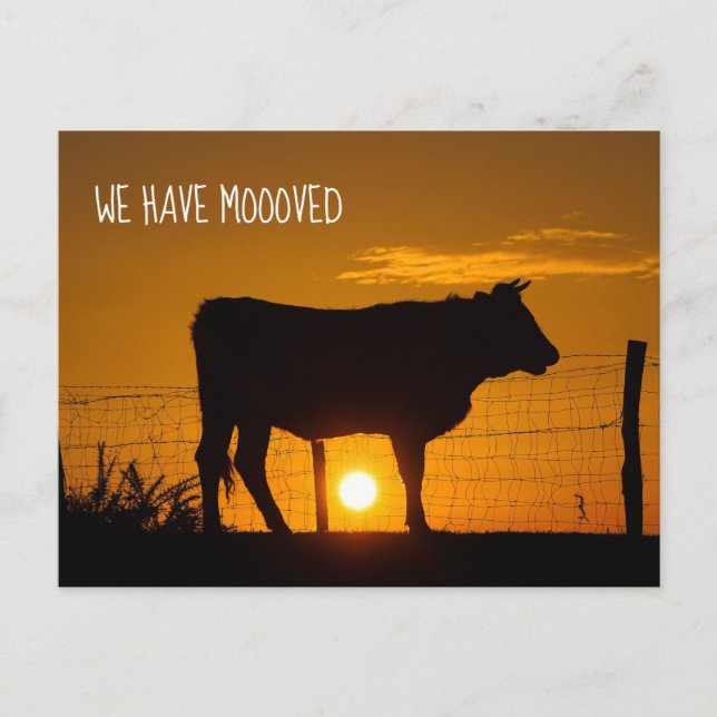 Cute Farm Change of Address We Have Mooved Moving Postcard (Front)