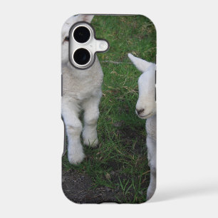 Cute Farm Ranch Baby Twins Sheep Lamb