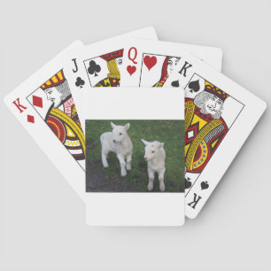 Cute Farm Ranch Baby Twins Sheep Lamb Playing Cards