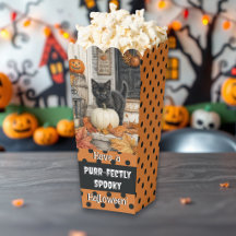 Cute Farmhouse Black Cat and Pumpkin Halloween