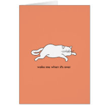 cute fat cat on a card