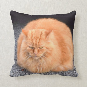 Cute Fat Cat Yellow Colour Cushion