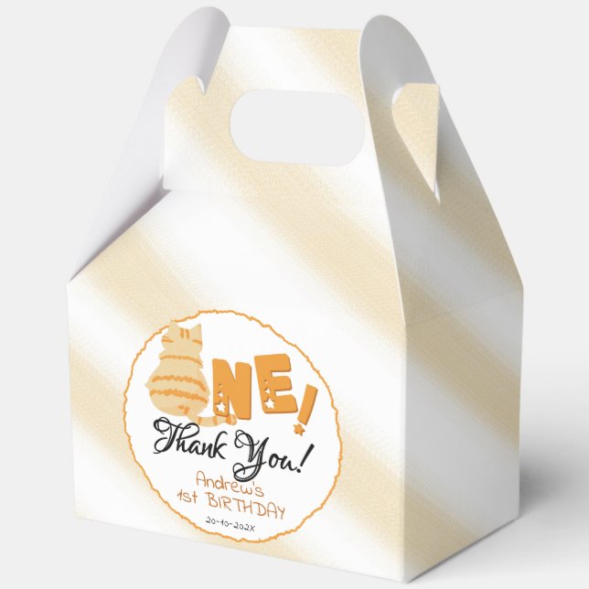 Cute Fat Orange Cat 1st Birthday Favour Box (Front)