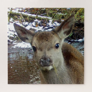 Cute Fawn Baby Red Deer Woodland Scene  Jigsaw Puzzle