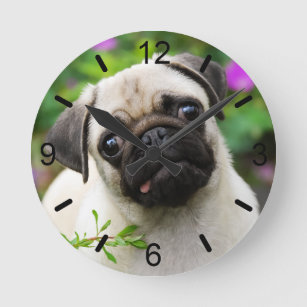 Cute Fawn Colour Pug Puppy Dog Portrait dial-plate Round Clock